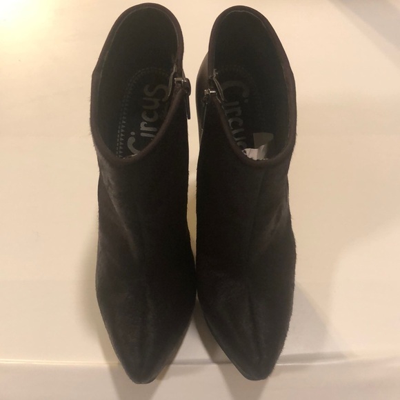 Circus by Sam Edelman Jacey heeled booties in burgundy and side zipper - Picture 1 of 9